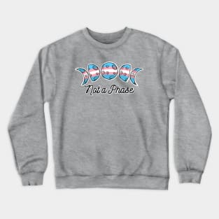 Not a Phase-Trans Crewneck Sweatshirt